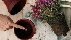 Proč je tento otvor na dně květináče tak důležitý pro zdraví rostlin?